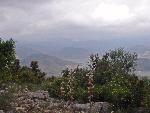 Photo DSC01869.JPG